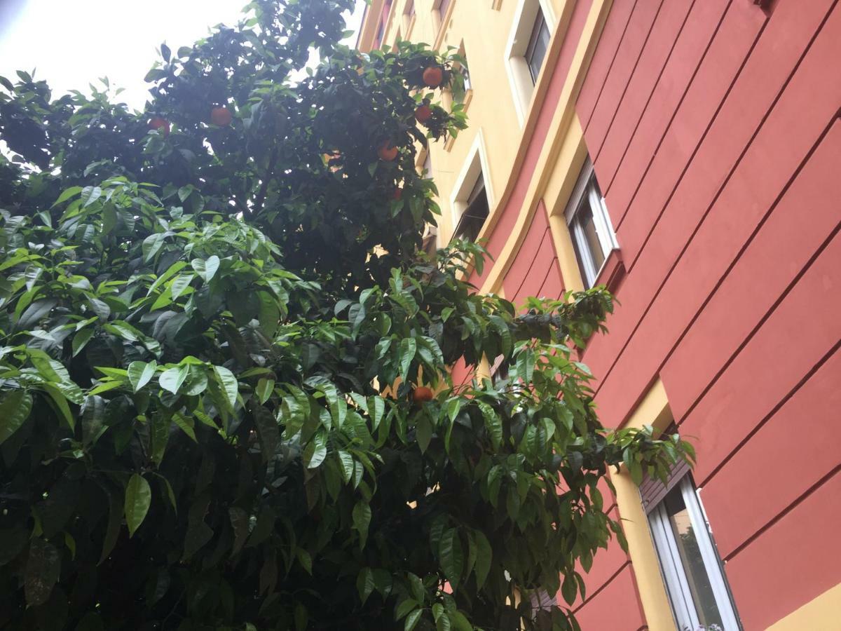 Casa Volver Roma Ngoại thất bức ảnh